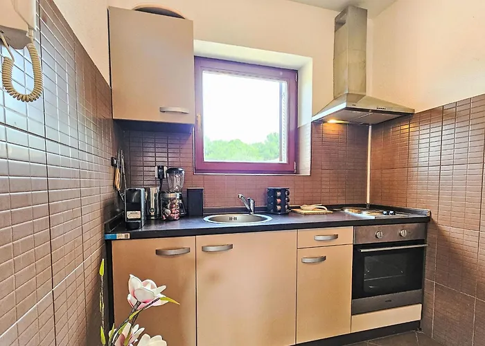 Appartement Sonus Silenti By Interhome *